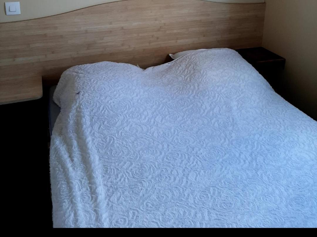 Camping Tranche Sur Mer Apartment Angles  ภายนอก รูปภาพ
